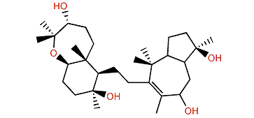 Sipholenol E